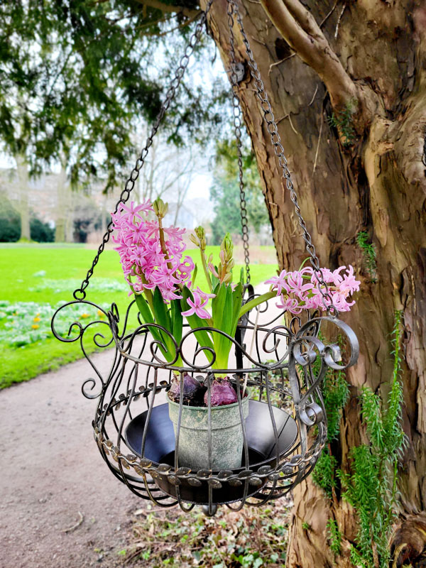 Blumenampel_Idee_Bepflanzung