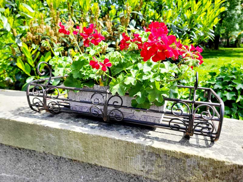 Balkonkasten Wand-Blumenkasten 60cm Fensterbank Pflanzkasten Schmiedeeisen